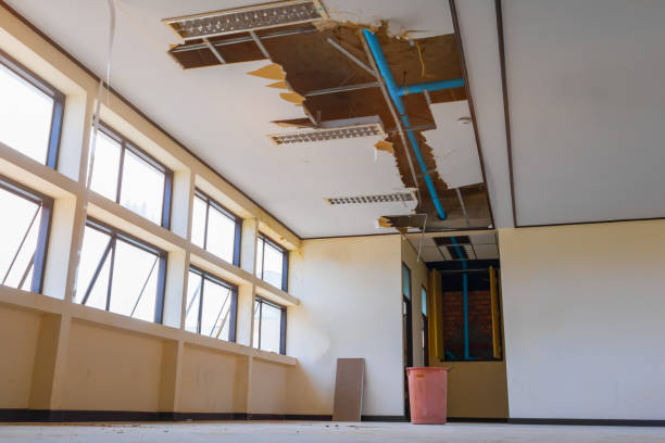 Best Water damage restoration experts  in Samsula Spruce Creek, FL