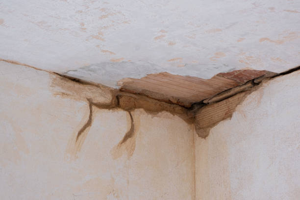 Best Flood damage cleanup  in Samsula Spruce Creek, FL