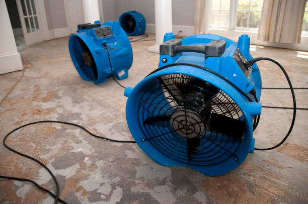 Best Water damage restoration specialists  in Samsula Spruce Creek, FL