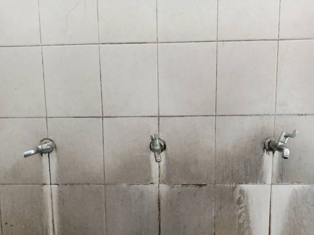Best Water damage cleanup near me  in Samsula Spruce Creek, FL