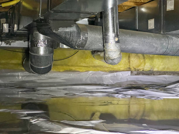 Best Professional water damage repair  in Samsula Spruce Creek, FL