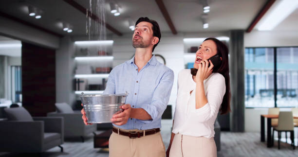 Best Water damage contractors near me  in Samsula Spruce Creek, FL